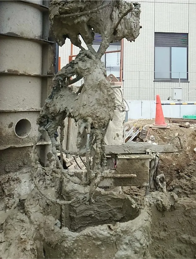 Growing and nurturing together